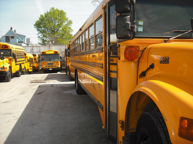 School Busses