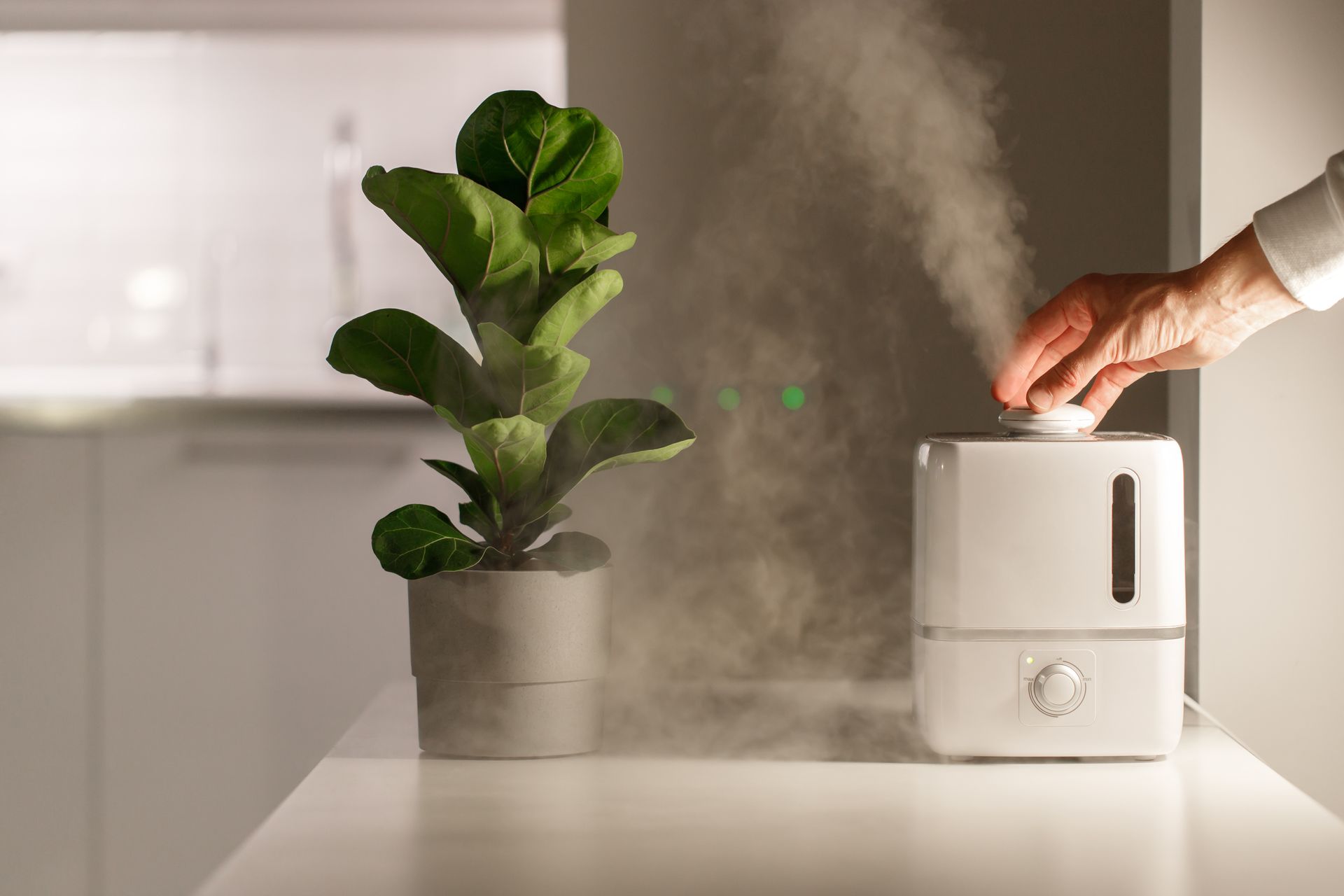 Humidifier misting near potted plant on a white table. A hand adjusts the humidifier.