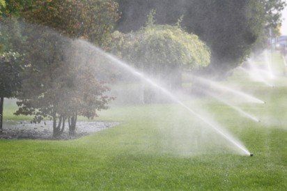 water sprinkler grass