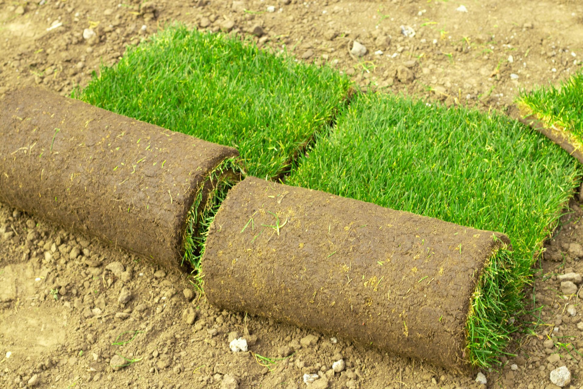 New Green Grass — Citrus Heights, CA – Cal Lawn Sod