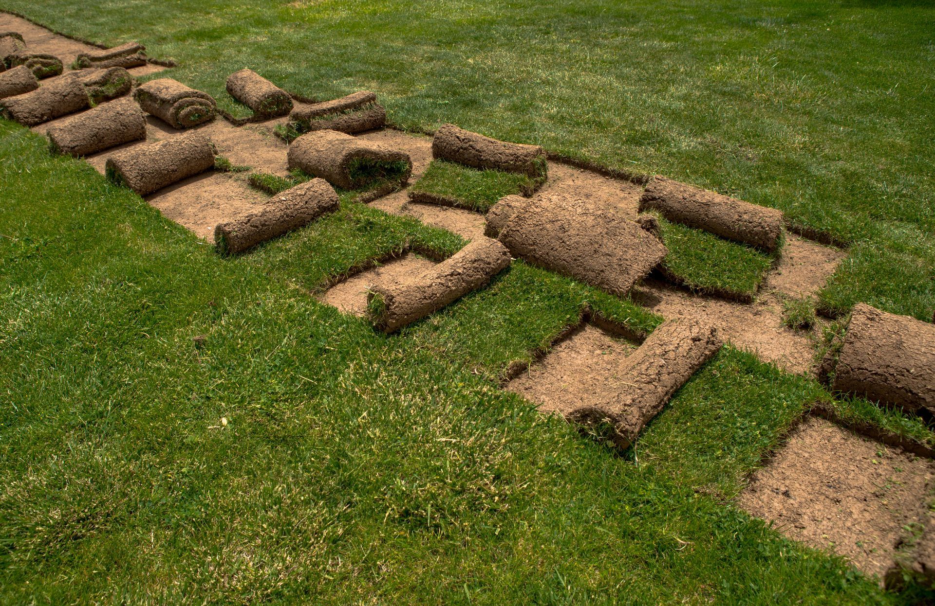 A row of rolls of turf sitting on top of a lush green lawn.