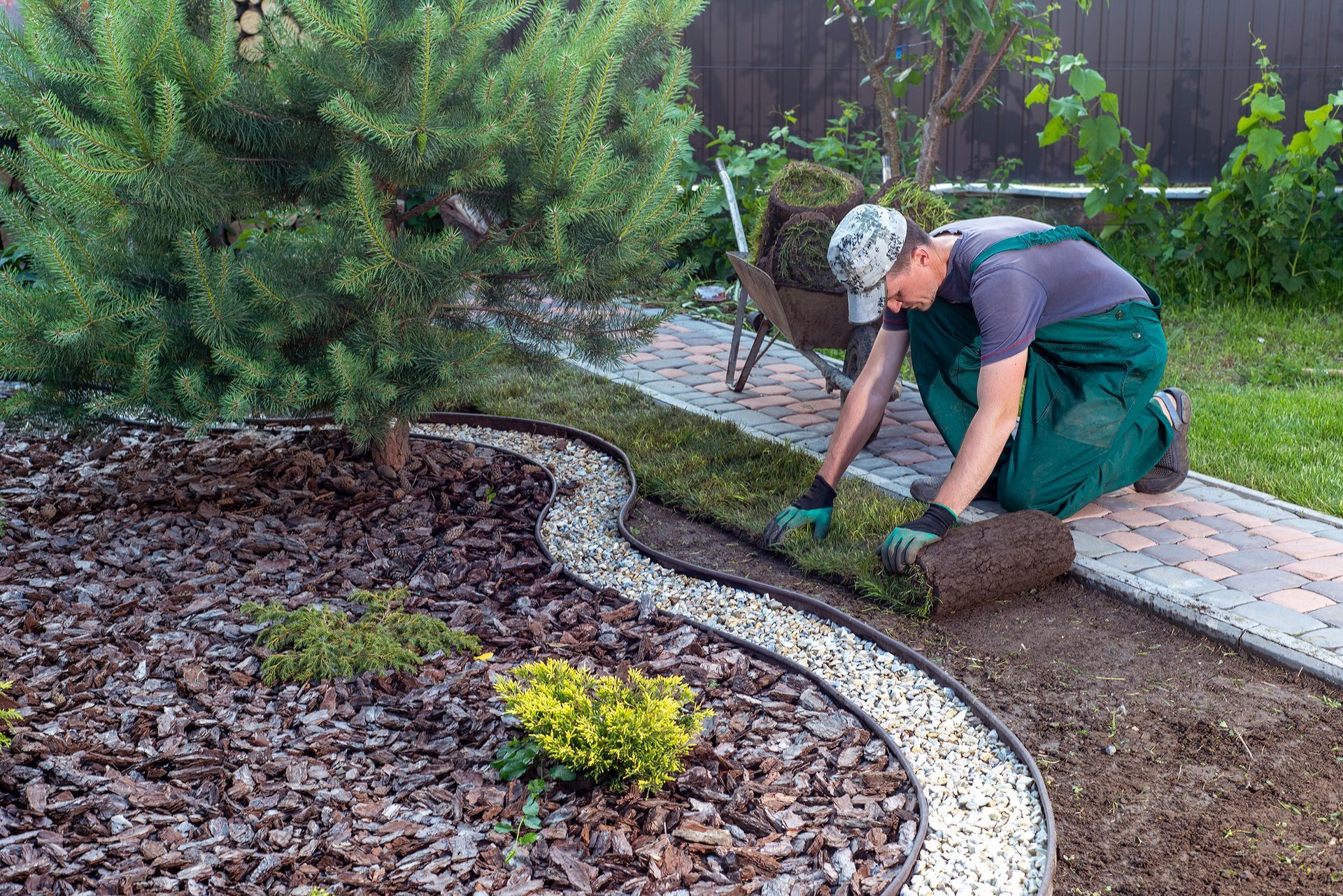 A man is laying a roll of turf in a garden.