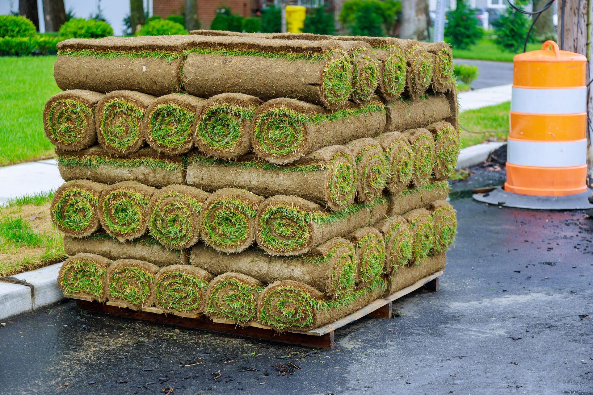 A stack of rolls of turf is sitting on a wooden pallet.