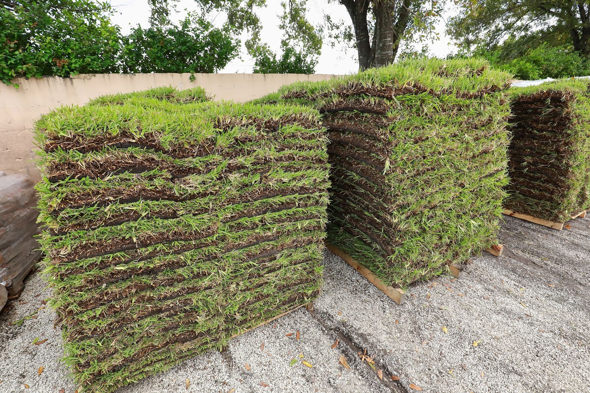 A bunch of rolls of grass sitting on top of gravel.