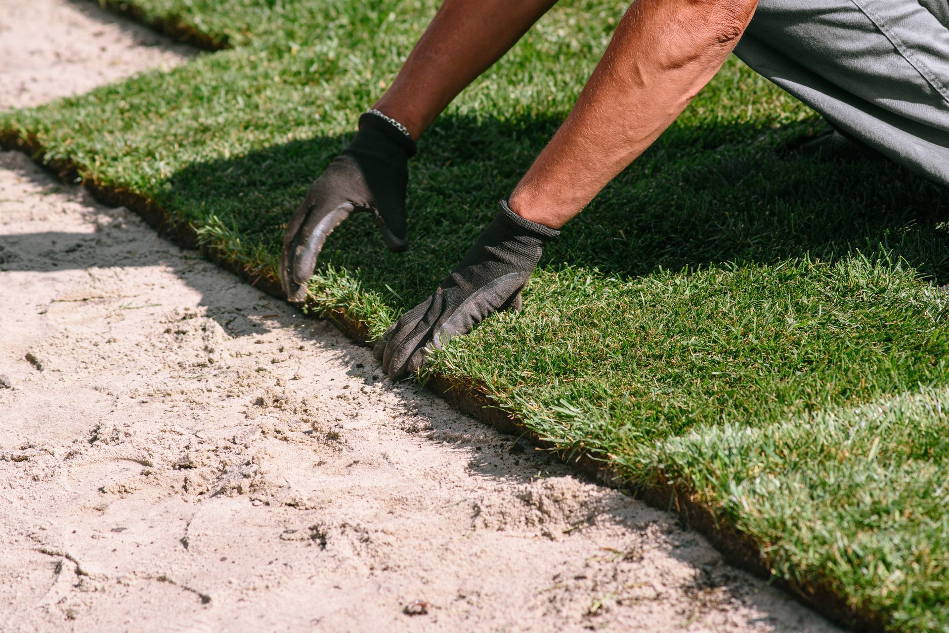 A man is laying a roll of turf on the ground.