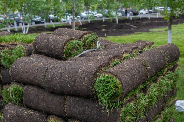 A pile of grass rolls sitting on top of each other in a park.