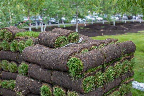 A pile of rolls of grass sitting on top of each other in a field.