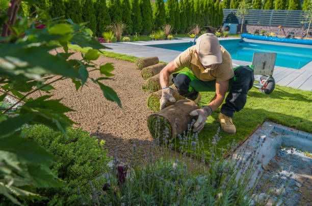 A man is kneeling down in a garden next to a pool.