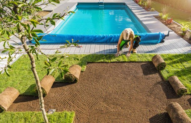 A man is working on a lawn next to a swimming pool.