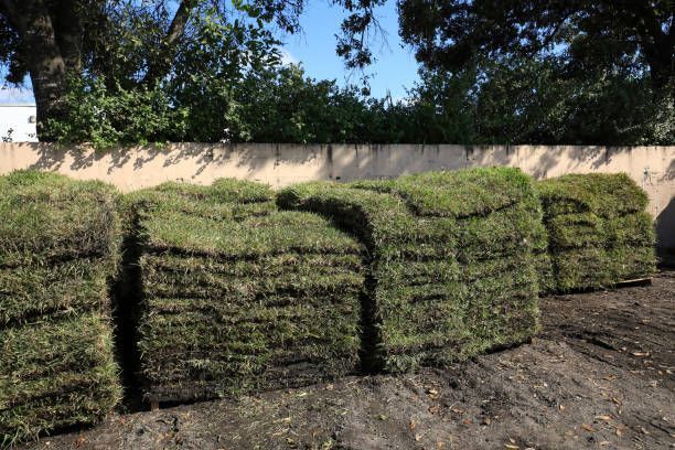 A bunch of bales of hay are stacked on top of each other in a field.