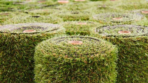 A bunch of rolls of grass are stacked on top of each other.