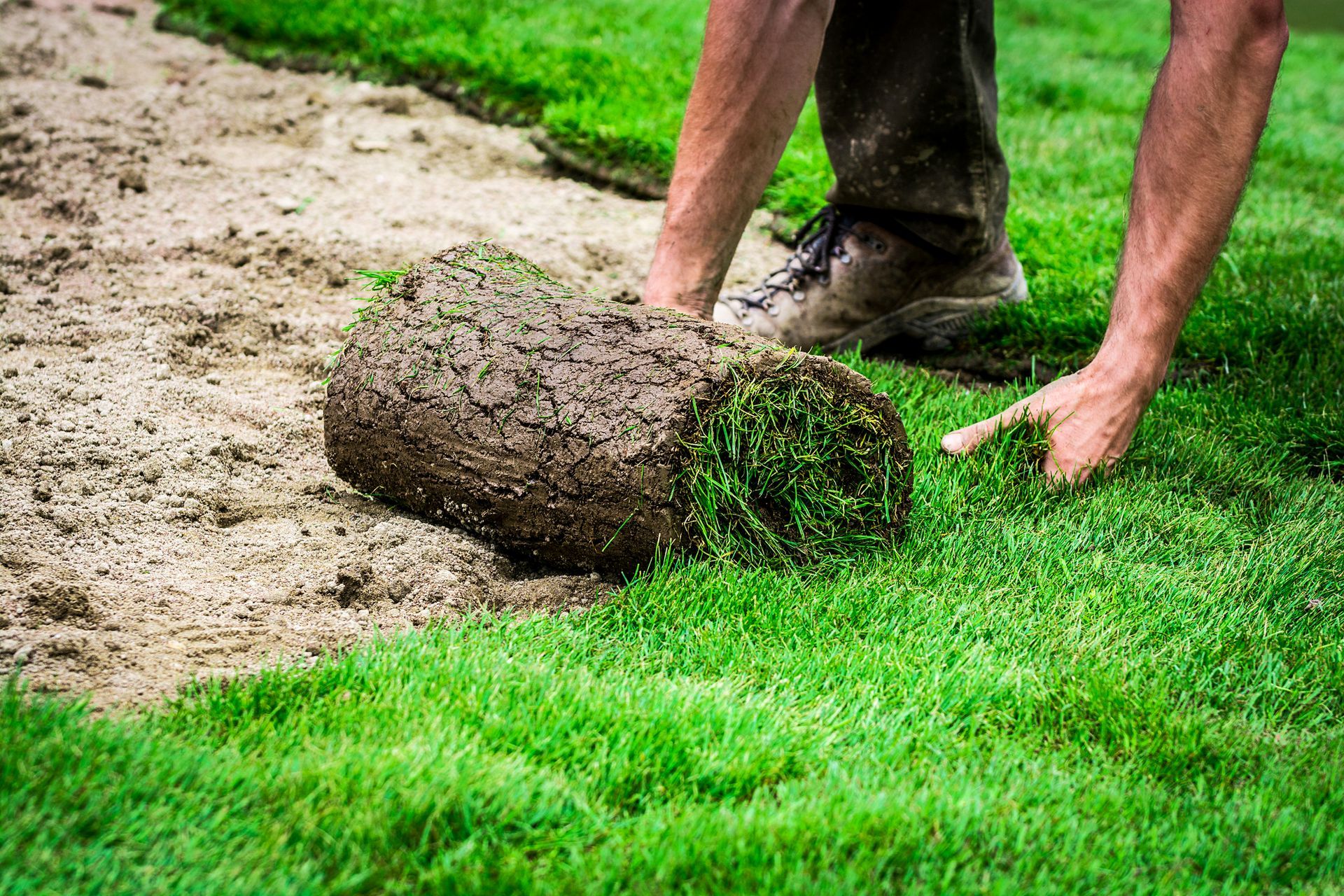 A man is rolling a roll of grass on a lawn.