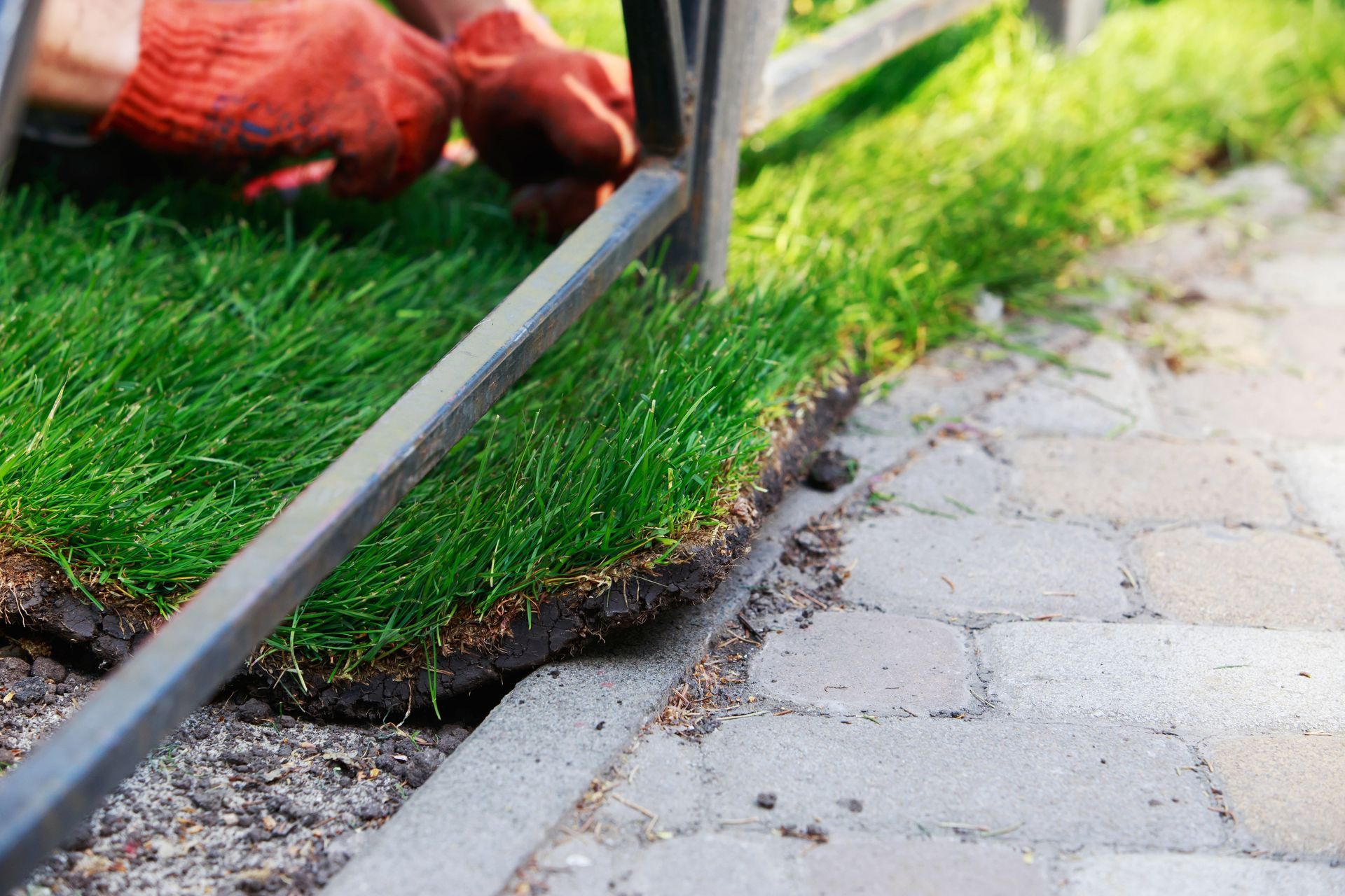A person is laying grass on a sidewalk next to a fence.
