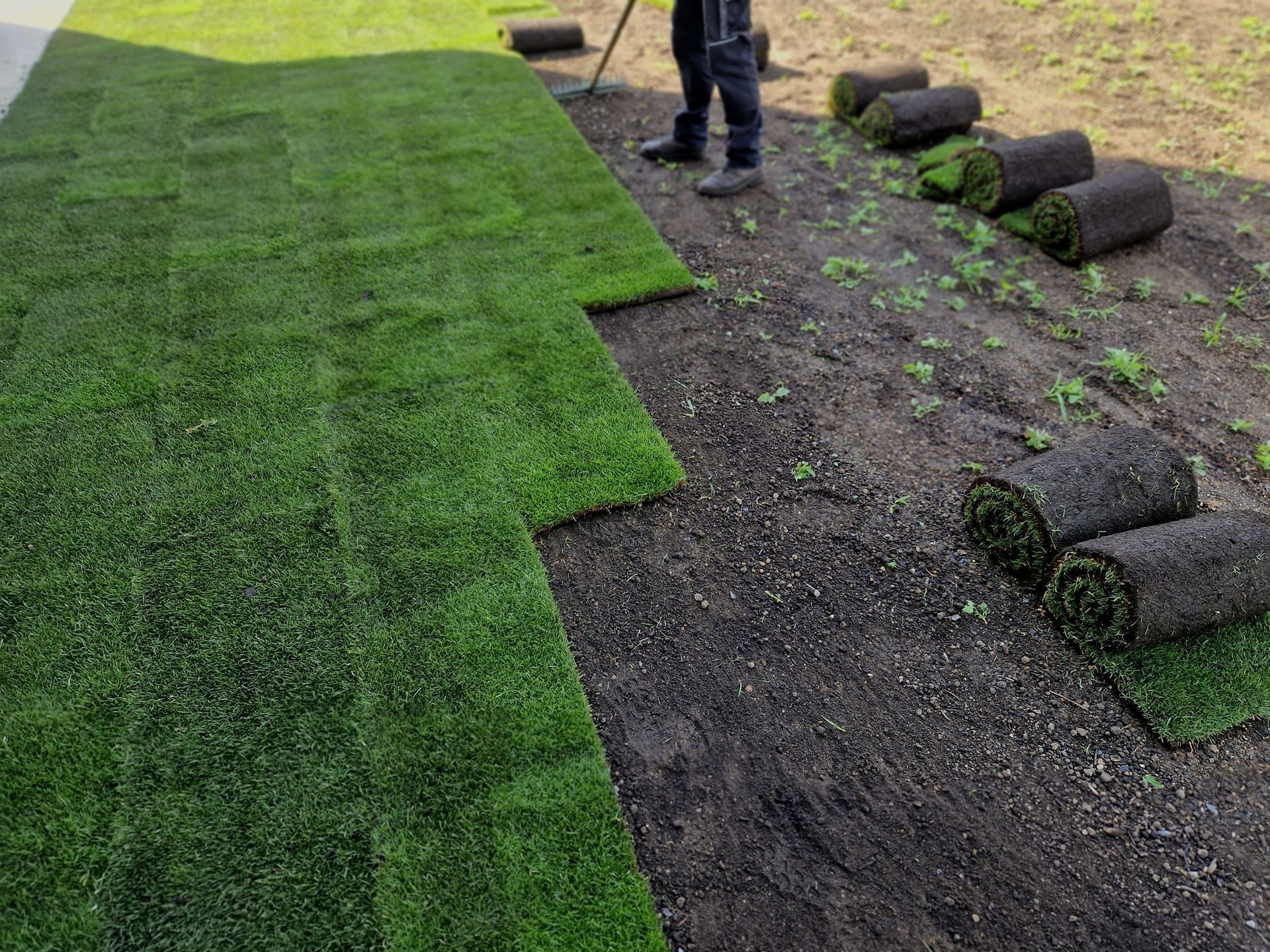 A man is laying rolls of turf in a yard.