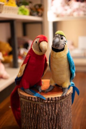 bambola da collezione