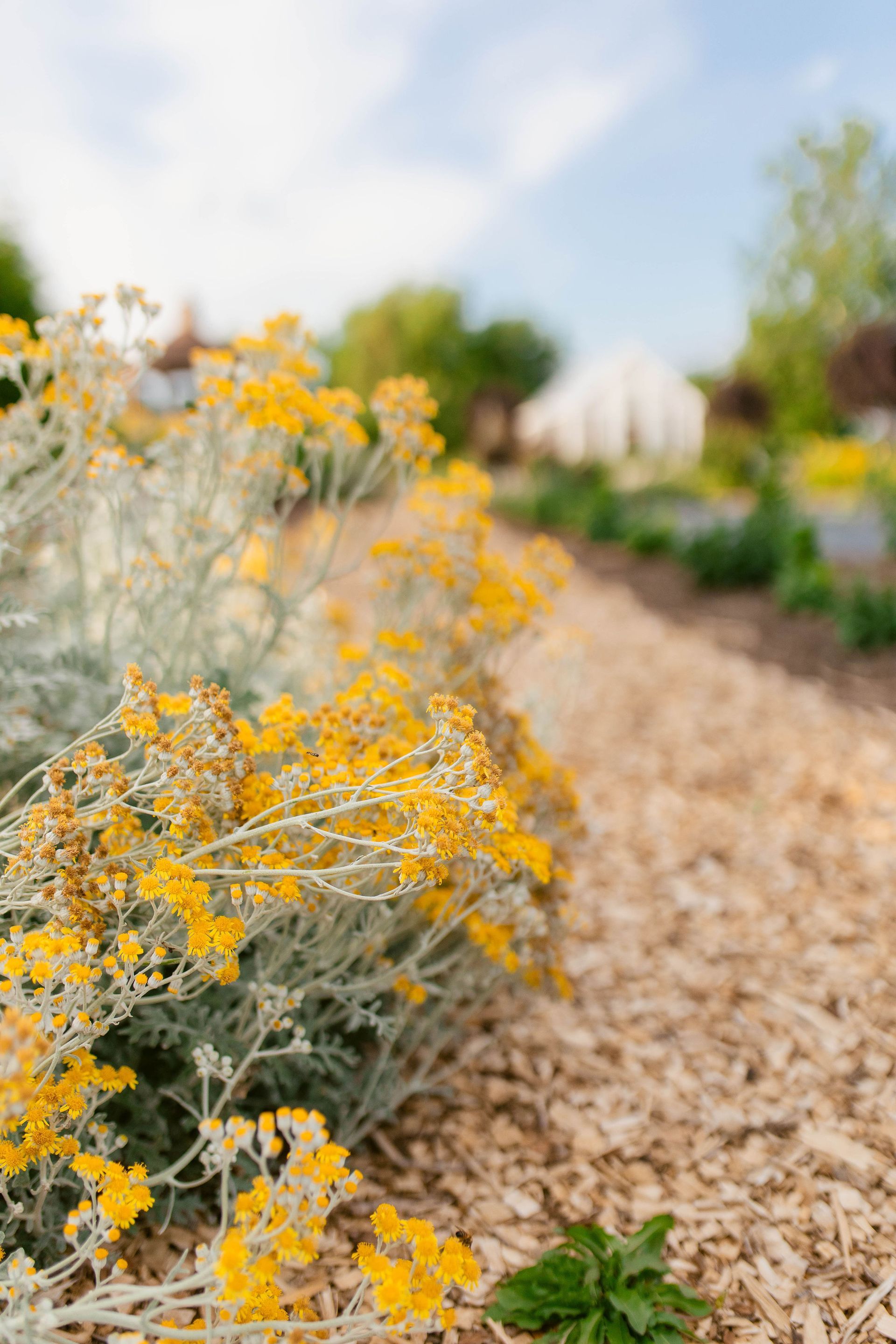 Gardens of Grace Pick your own flowers in Lancaster, PA