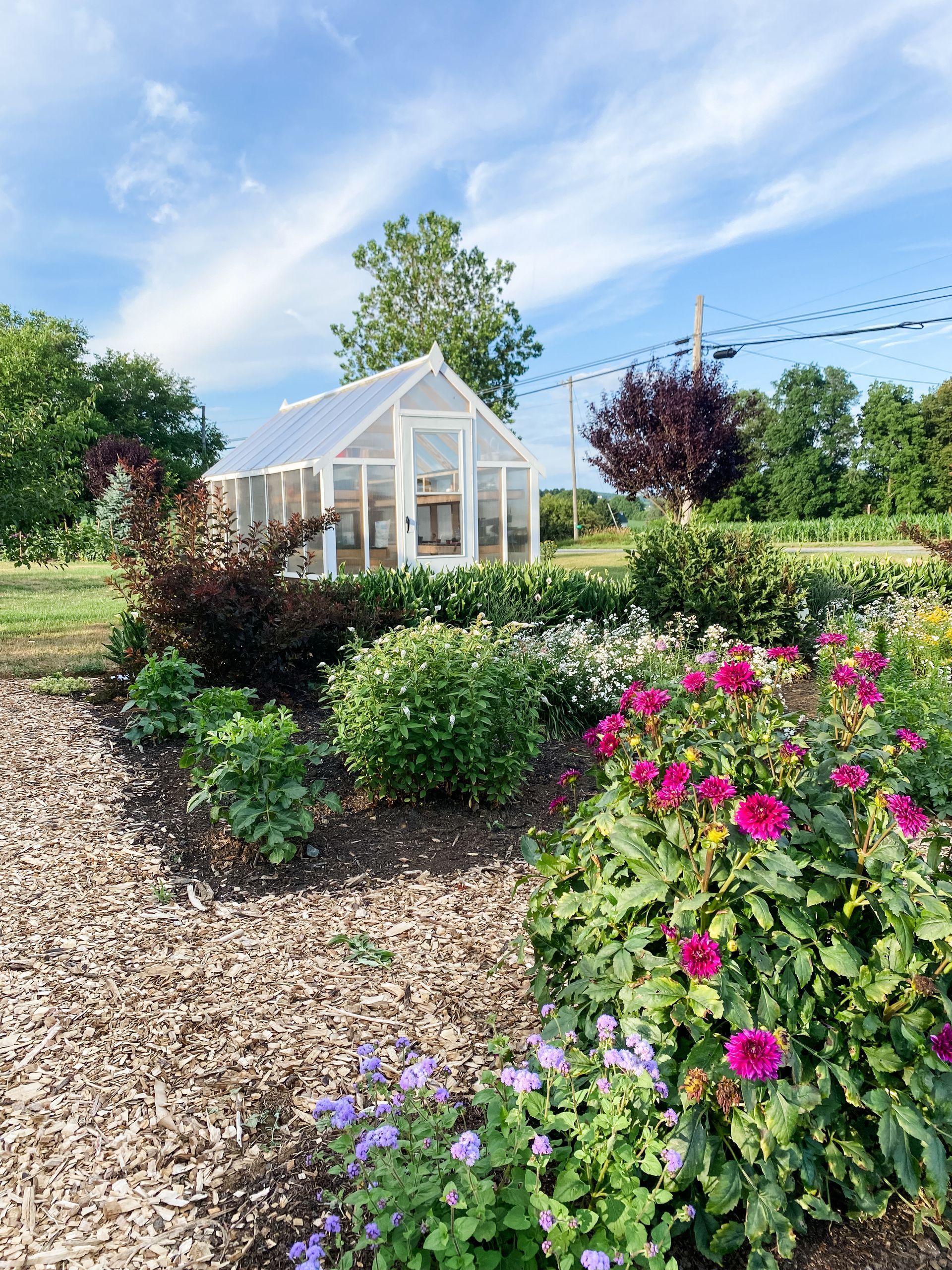 pavilion-rentals-at-gardens-of-grace-flower-farm