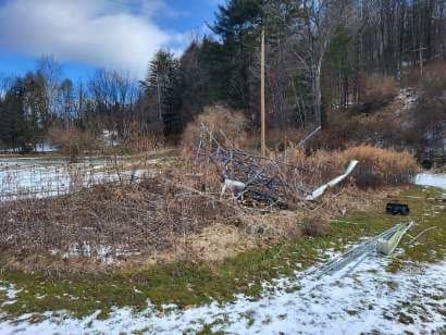 There is a lot of snow on the ground and trees in the background.