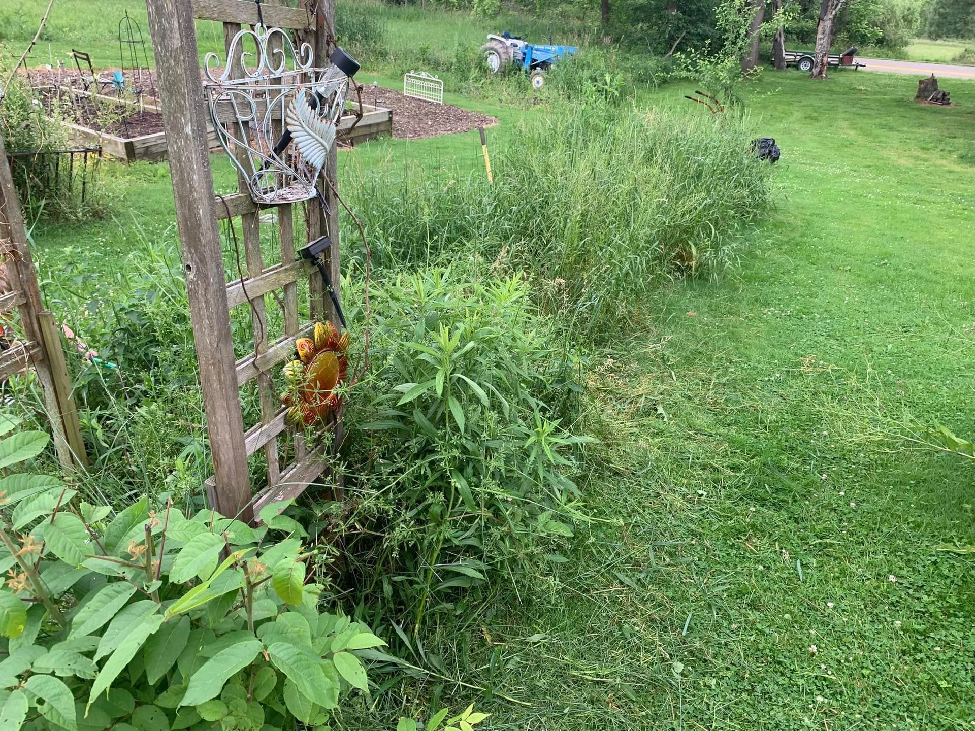 A wooden ladder is sitting in the middle of a grassy field.