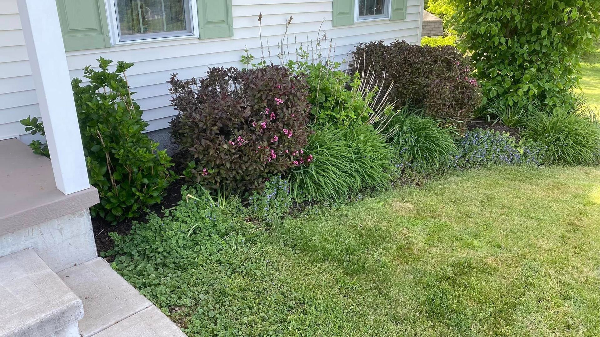 A house with a lush green lawn and bushes in front of it.