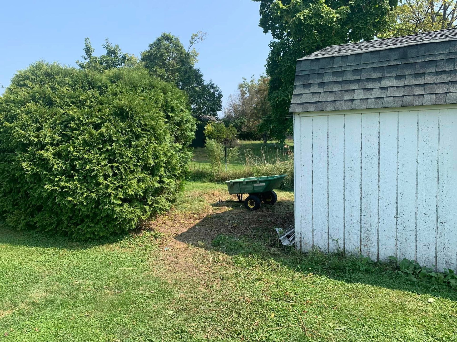 A green wheelbarrow is parked next to a white shed in a yard.