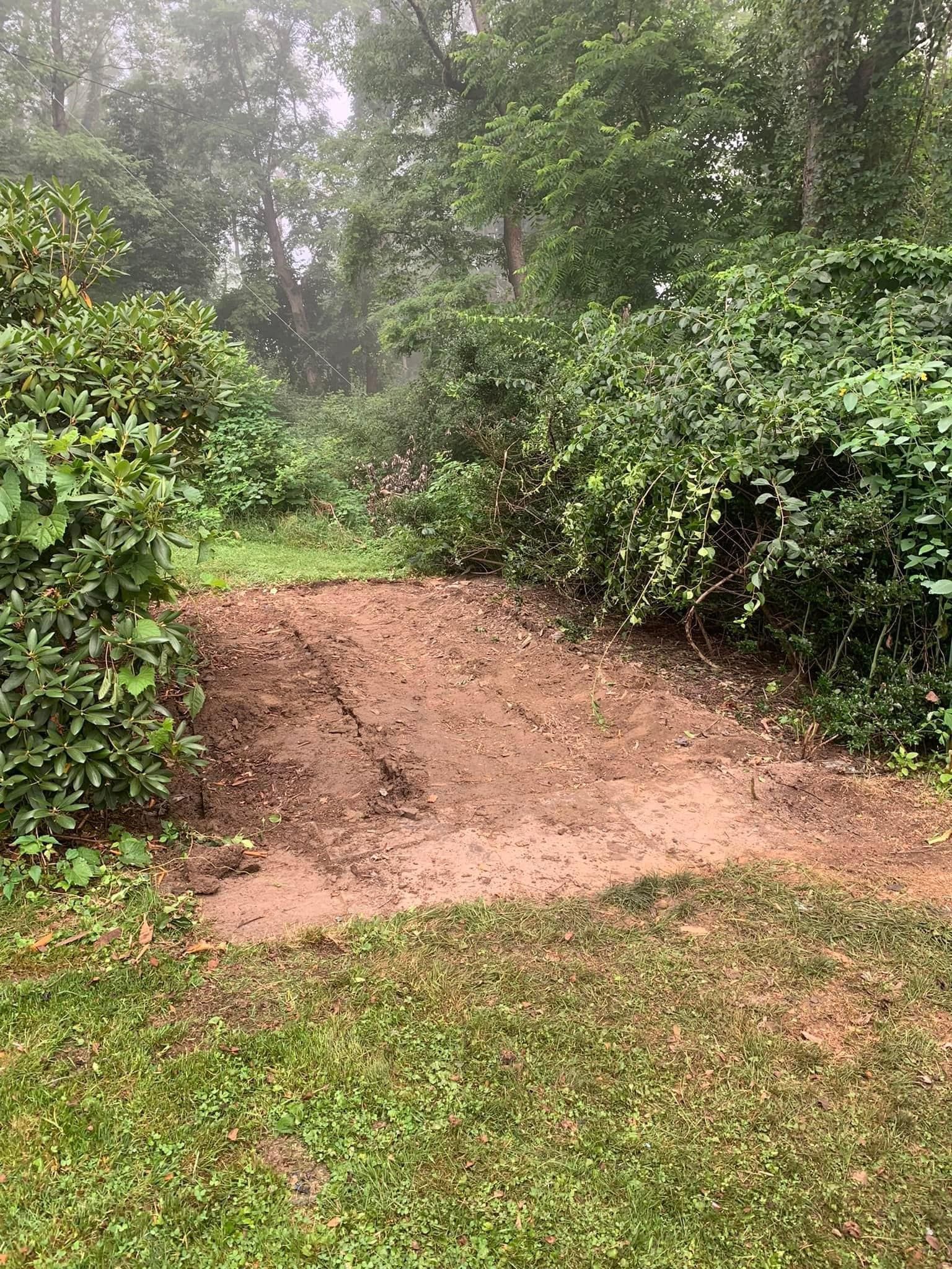 A dirt path going through a lush green forest.