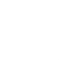 Gladiator Inc.