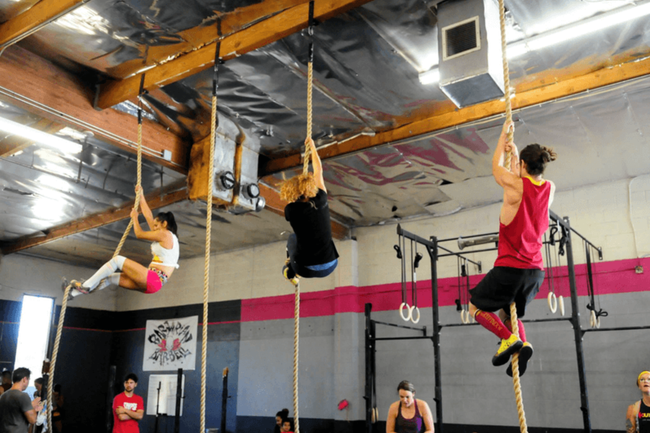 A group of people are climbing ropes in a gym.
