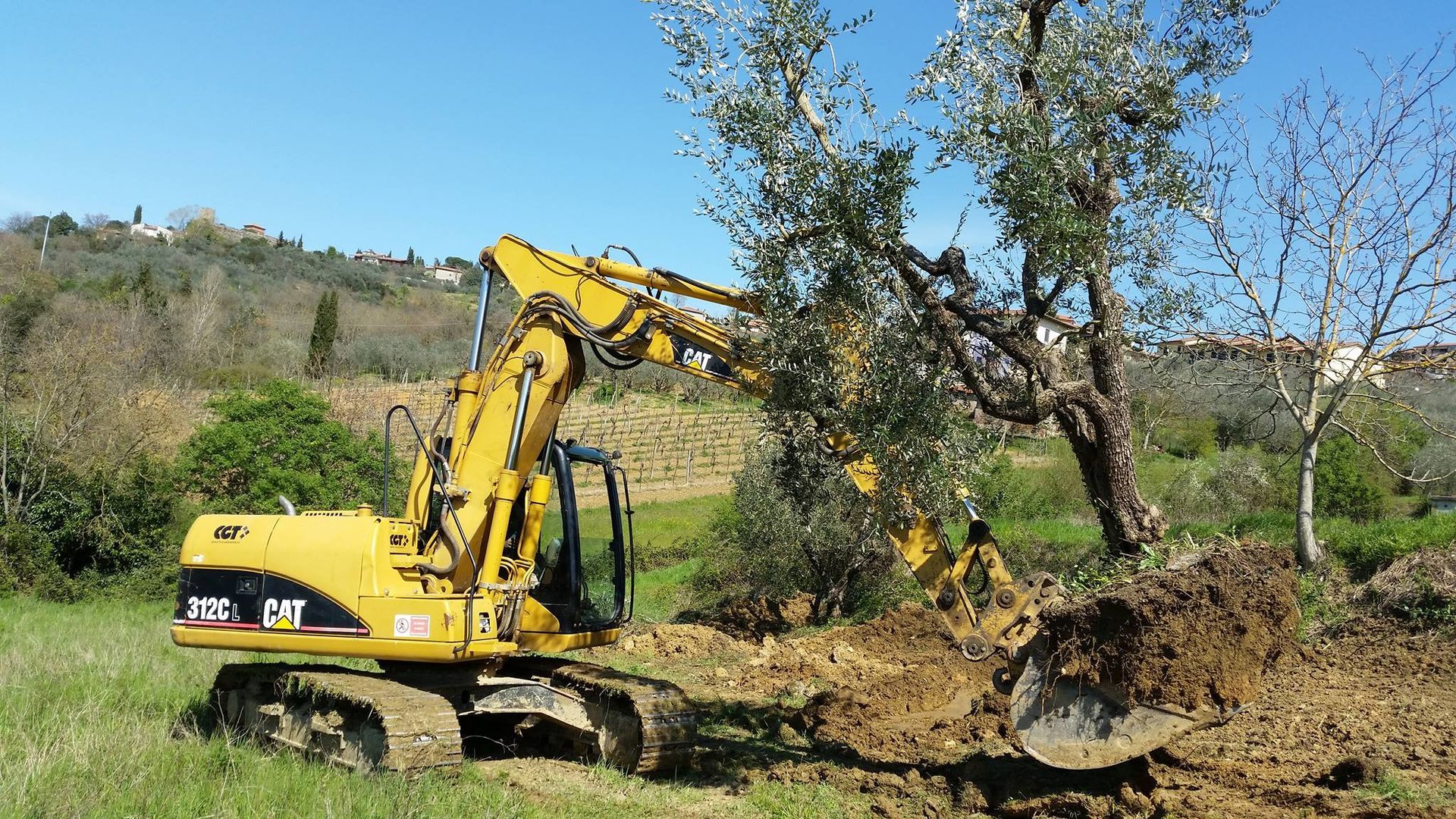Un escavatore giallo sta spostando un albero in un campo.