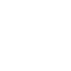 Security setting icon