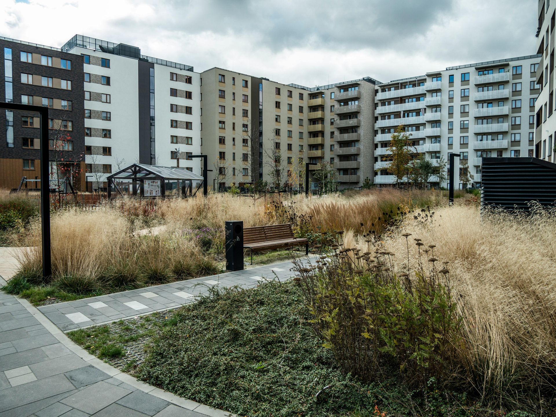Person looking up stats on computer