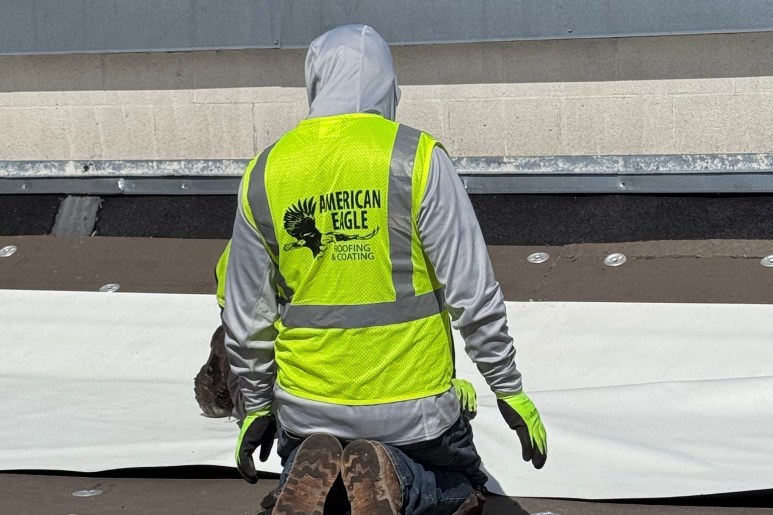 TPO EPDM and PVC single-ply membrane samples on a commercial flat roof