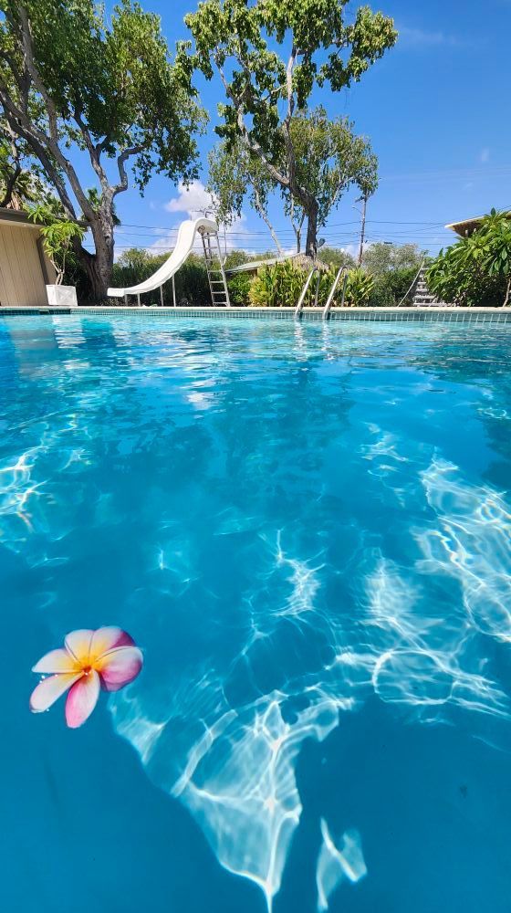 Swimming pool with a floating flower. Trees and a slide are visible in the background under a blue sky.