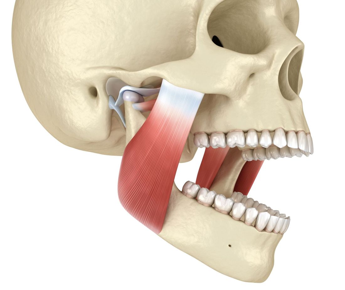 articolazione temporo-mandibolare