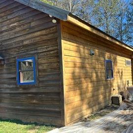 Wooden cabin exterior with blue-trimmed windows and a sloped roof in a sunny yard