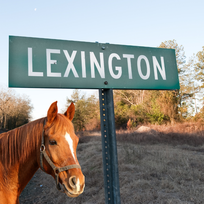 Discover expert roofing solutions in Lexington, KY!  This picturesque farm sign points the way to one of the locations where Ark Covering & Restoration, your trusted partner for roof replacement and insurance claim assistance.