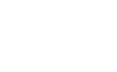 Seventh Star Services Jay Bright Division Logo