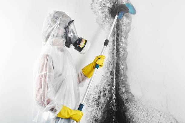 Commercial mold inspection by a team from Southbay Restoration Inc.
