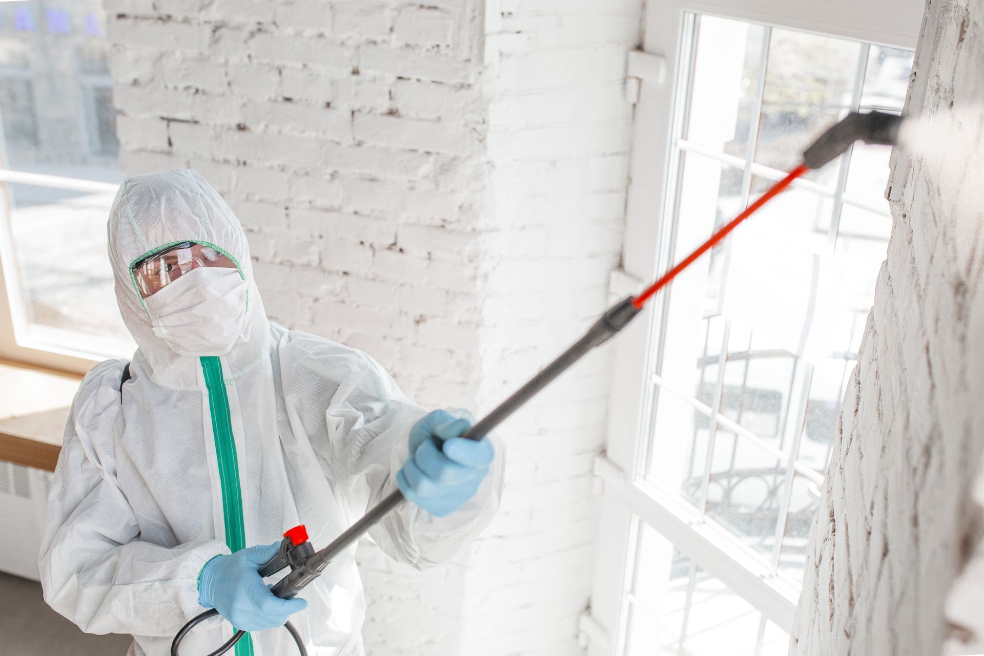 Specialist treating mold damage on a building wall.