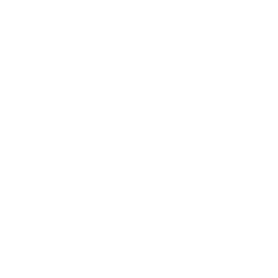 la testa di un pappagallo