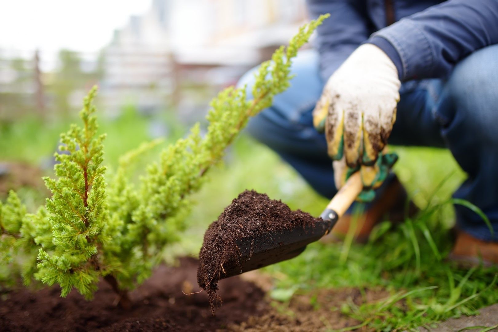 An image of Planting in Marblehead, MA