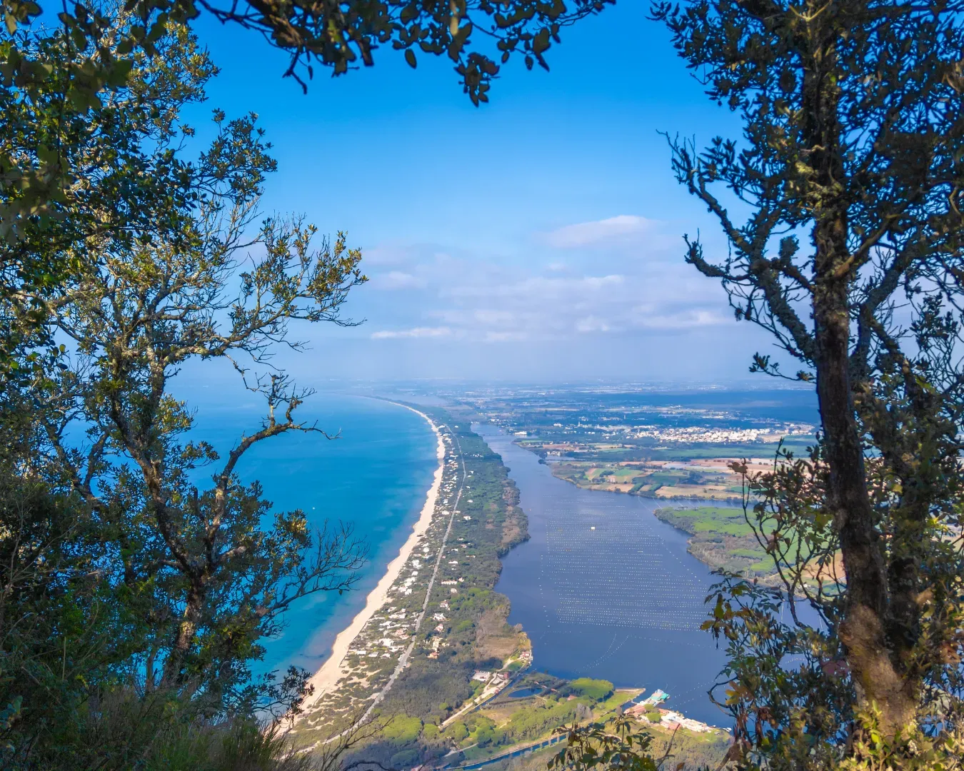 Veduta aerea costiera di una stretta penisola tra l'oceano blu e una baia tranquilla, incorniciata da alberi e cielo.