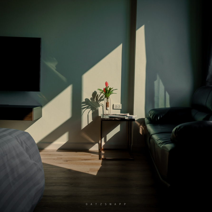 Sunlit interior with a small table, flowers, sofa, and a television.