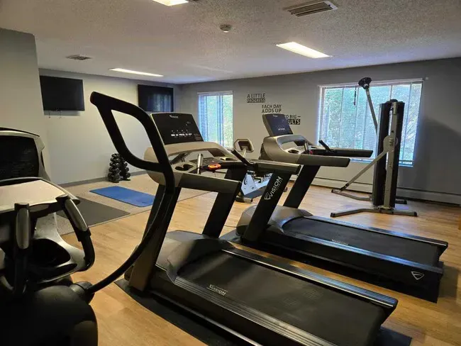 Gym with treadmills, elliptical machine, yoga mat, weights, and windows.