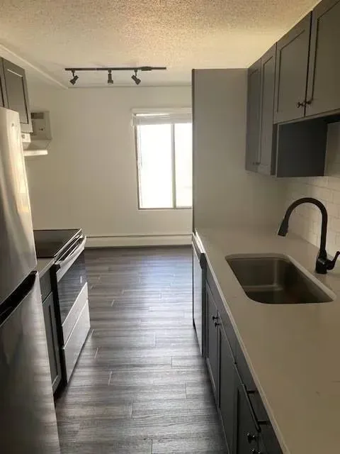 Modern kitchen with gray cabinets, stainless steel appliances, and a white countertop.
