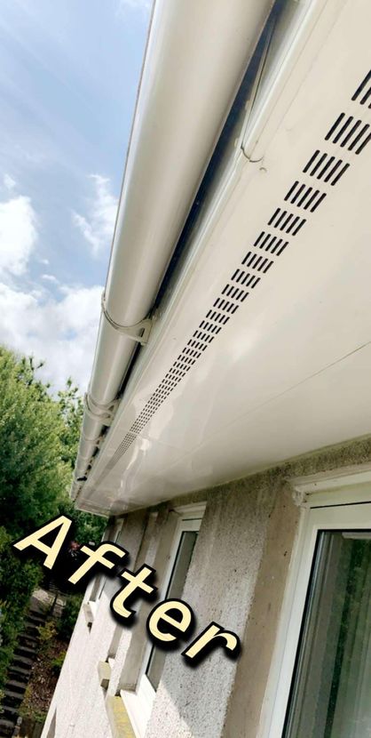 Fascia and soffits after cleaning