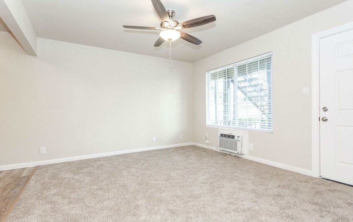 Empty room with beige carpet, window with blinds, ceiling fan, and a white door.