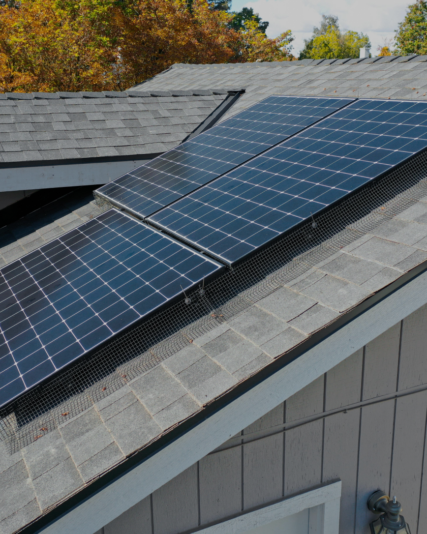 Solar panels on a gray shingle roof, with autumn trees in the background.