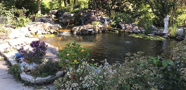 The 50 Best Pond and Water Features 2021 - Family Living Today