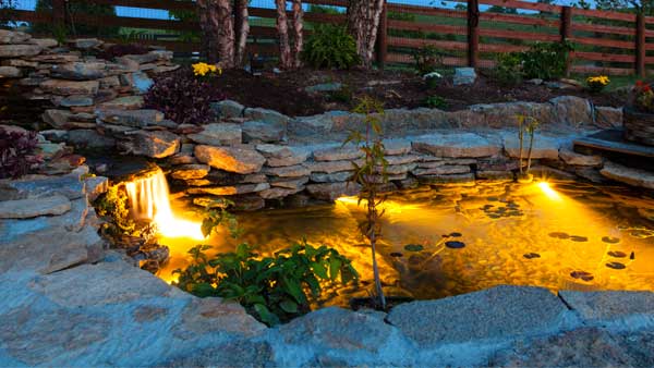 pond design lighting